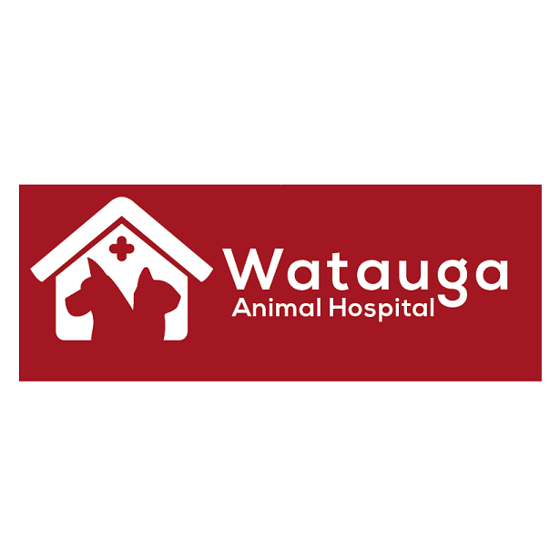 Watauga Animal Hospital - Pet services facility