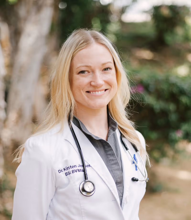 staff profile