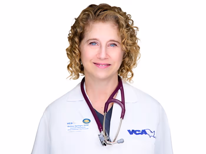 staff profile