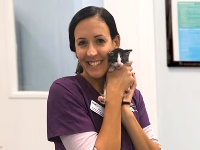 staff profile