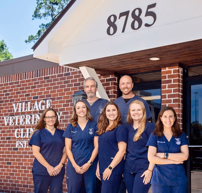 staff profile