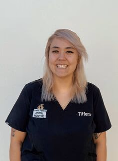 staff profile