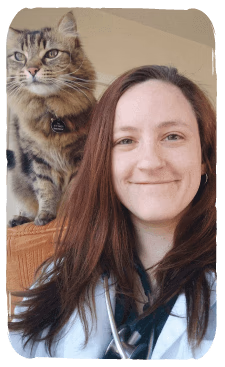 staff profile