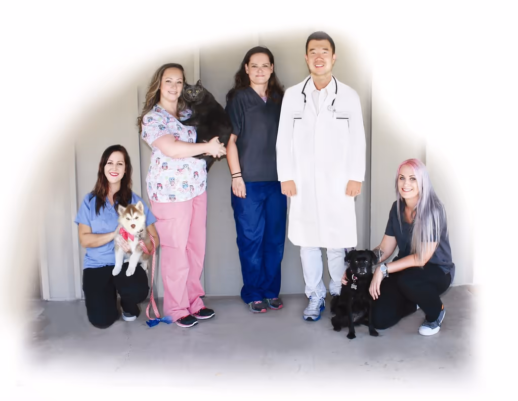 staff profile