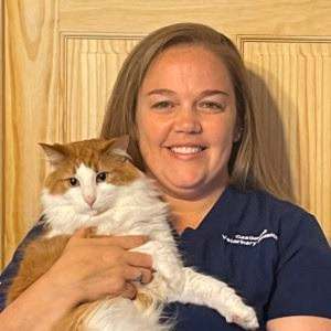 staff profile