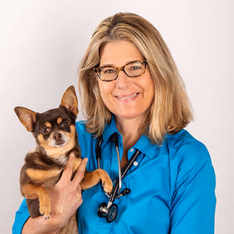 staff profile
