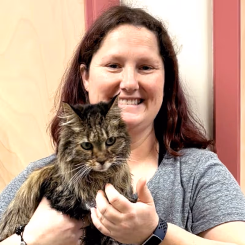 staff profile