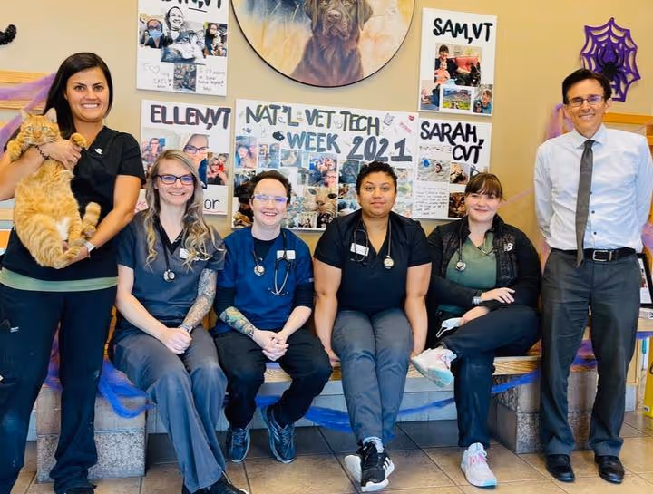 staff profile