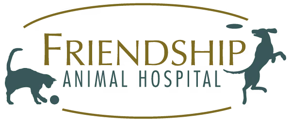staff profile