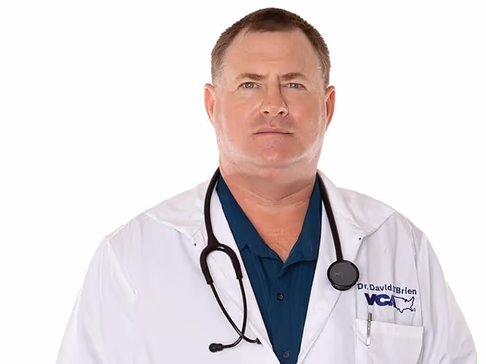staff profile