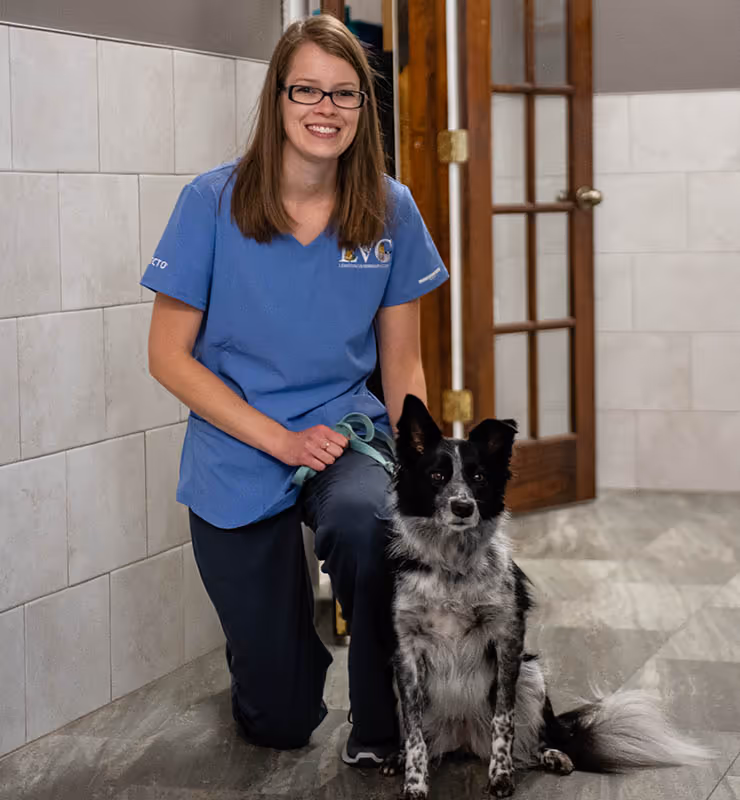 staff profile
