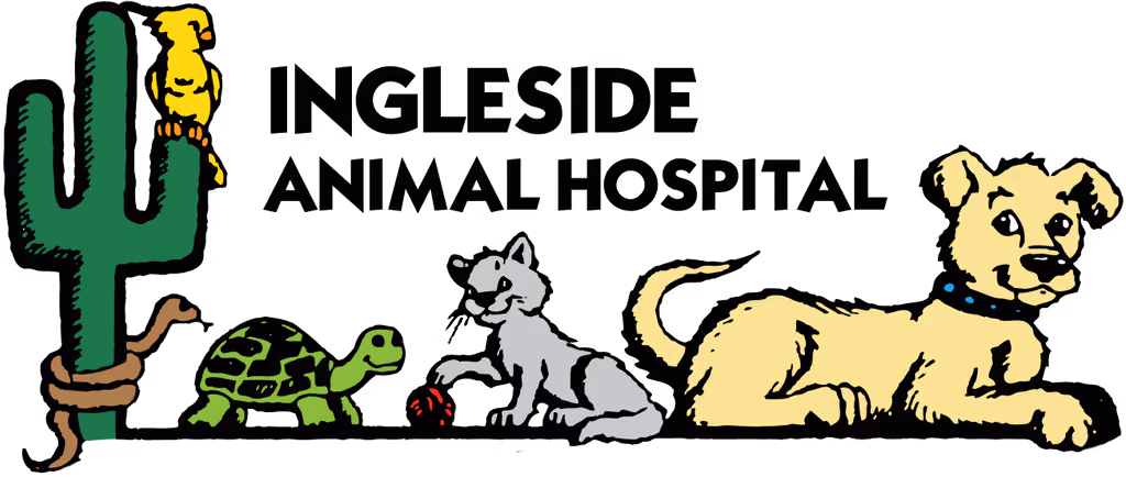 staff profile