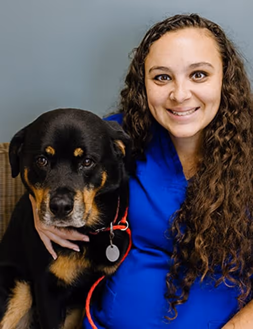staff profile