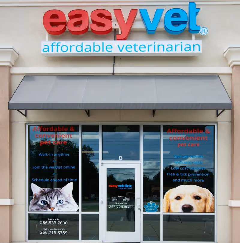 EasyVet Madison - Pet services facility