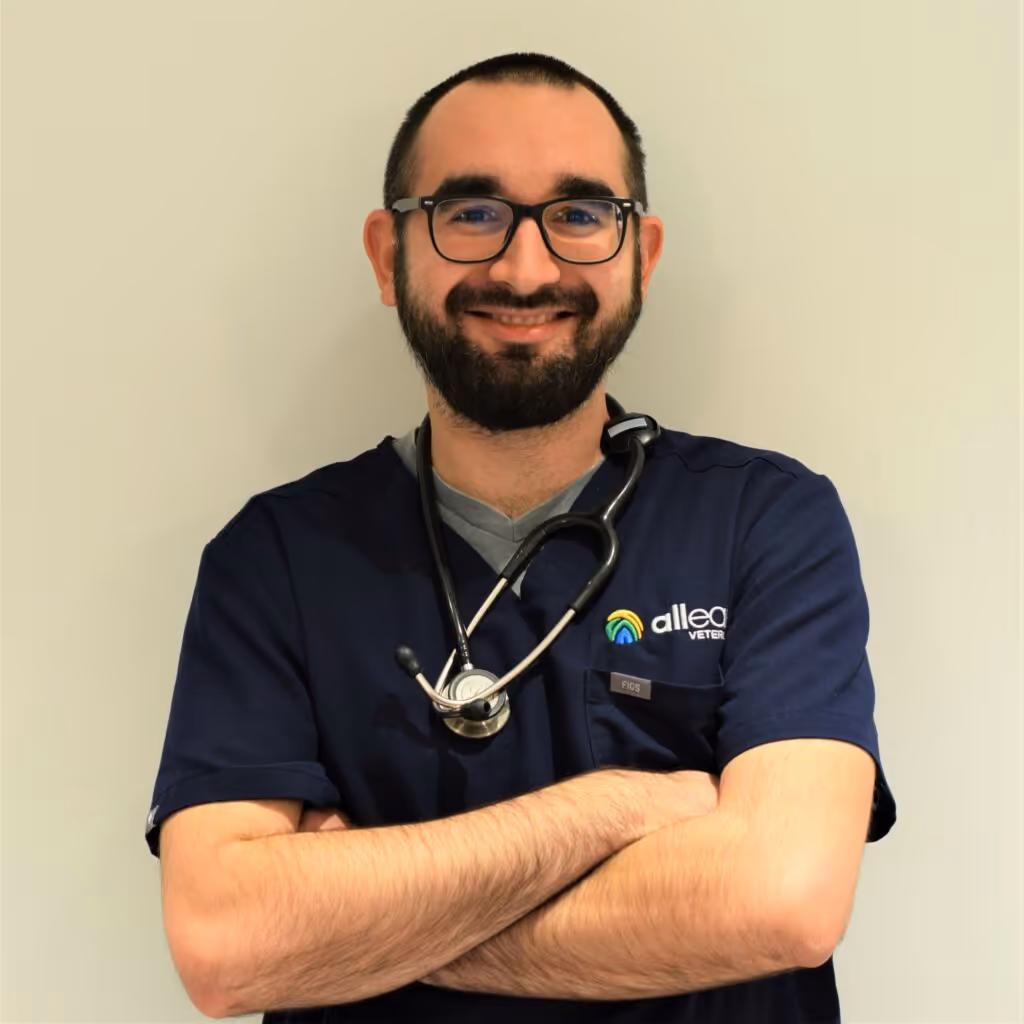 staff profile