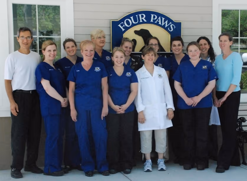 staff profile