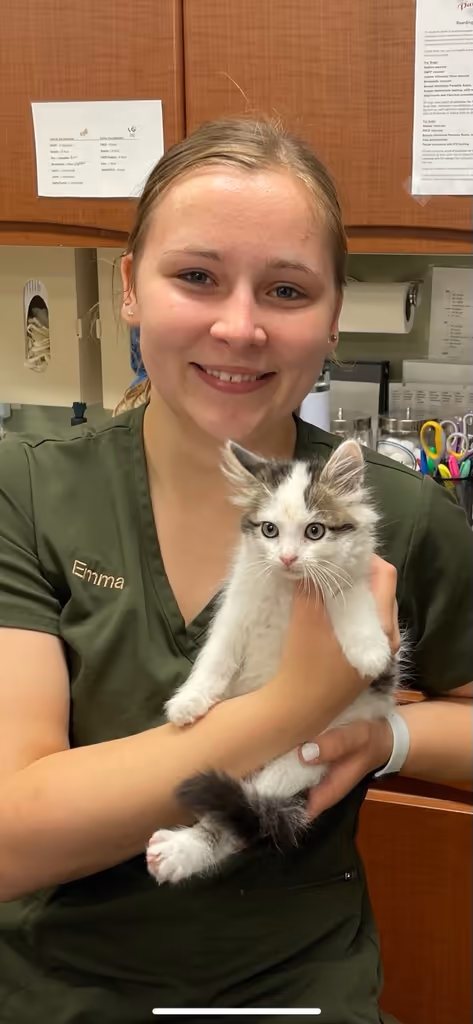staff profile
