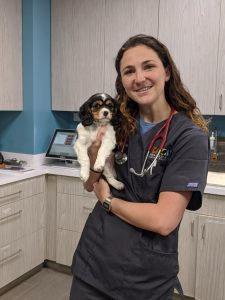 staff profile