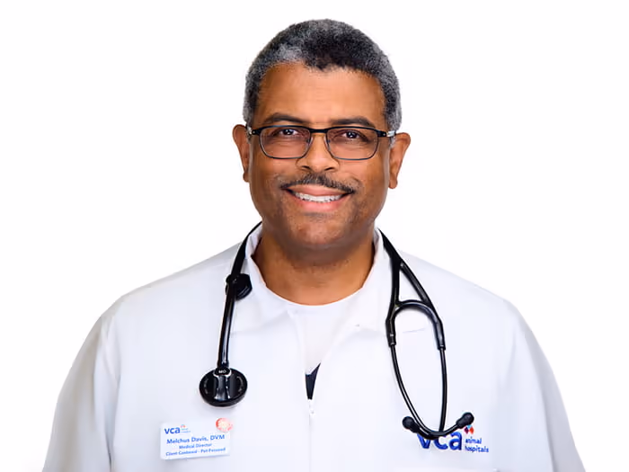 staff profile