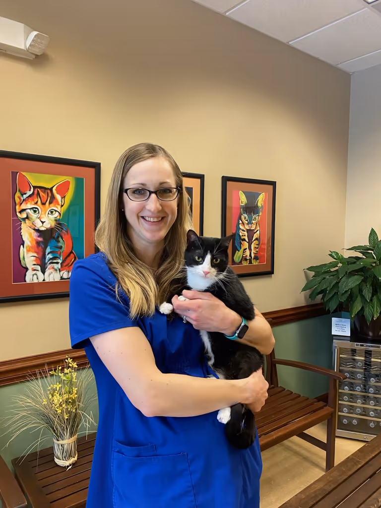 staff profile