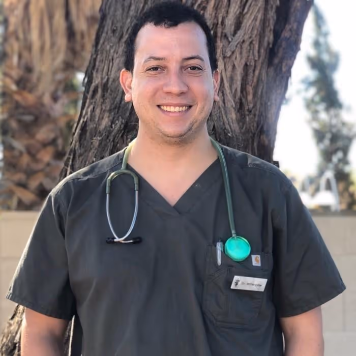 staff profile