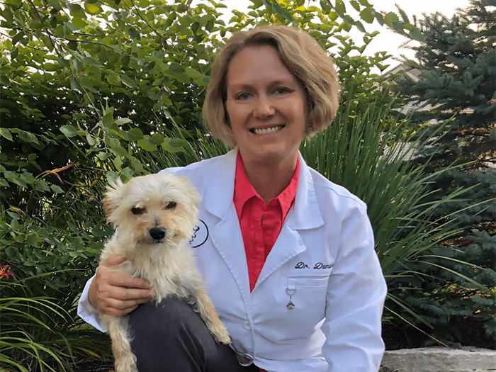 staff profile