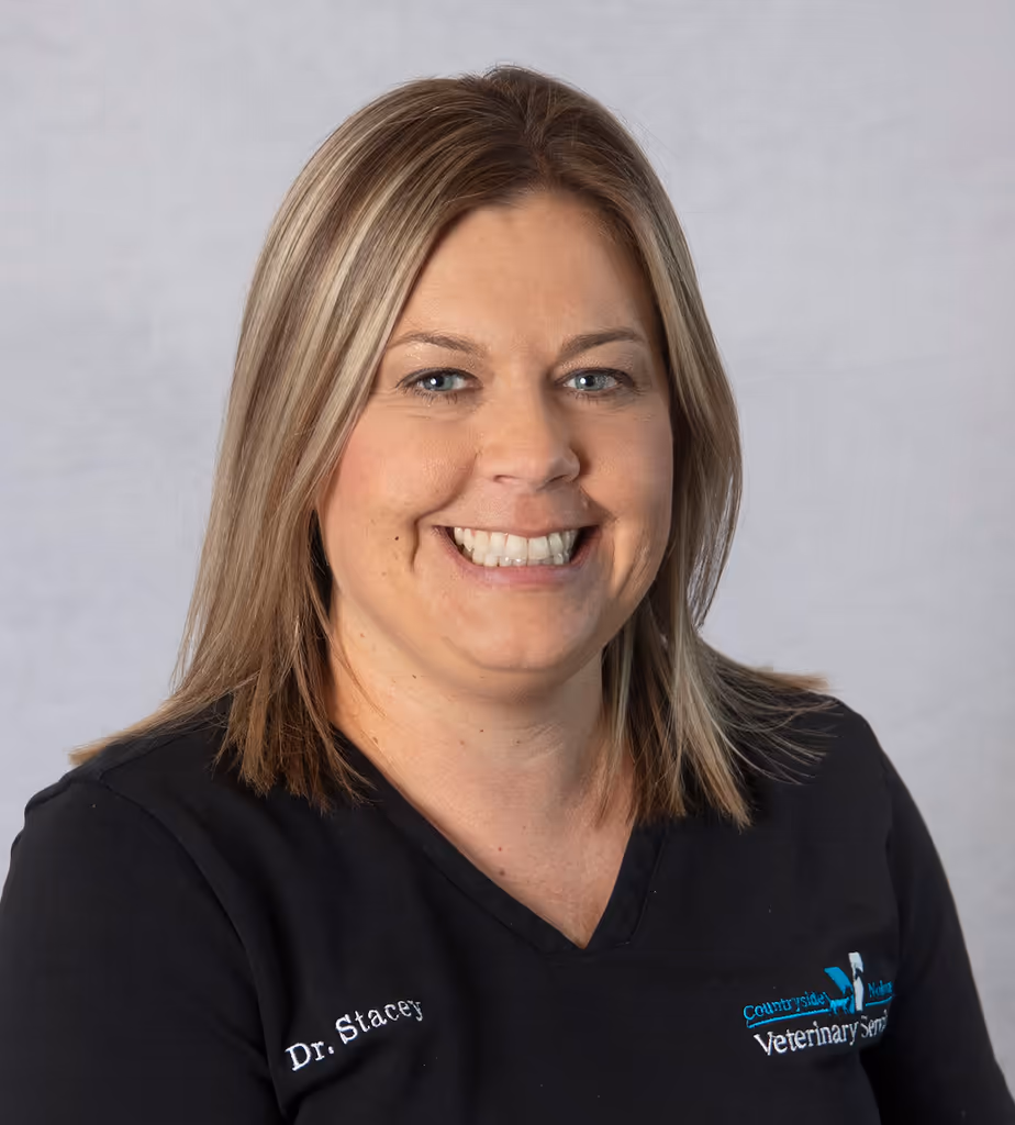 staff profile