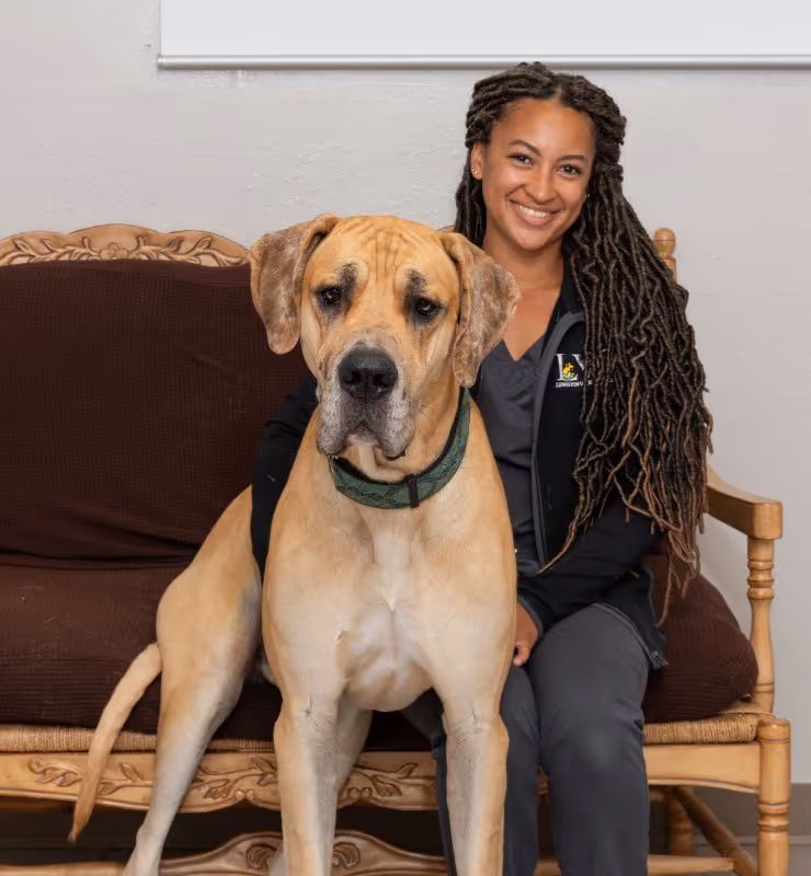 staff profile