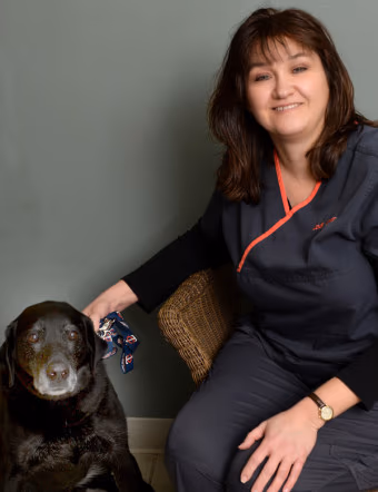 staff profile