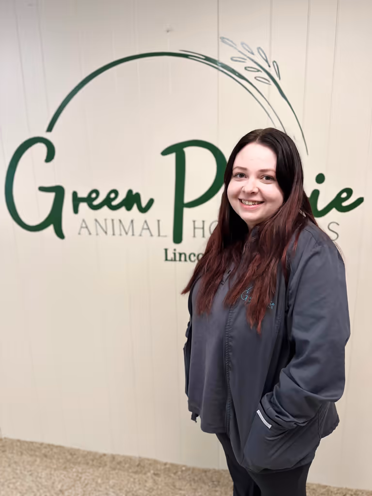 staff profile
