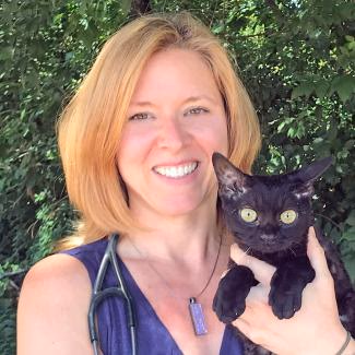 staff profile