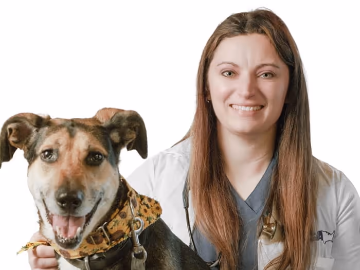 staff profile
