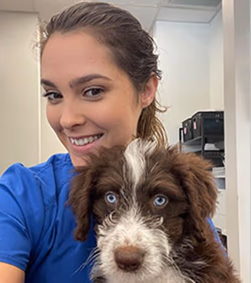 staff profile