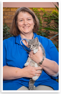 staff profile