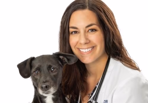 staff profile