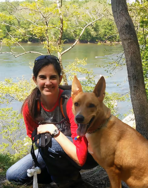 staff profile