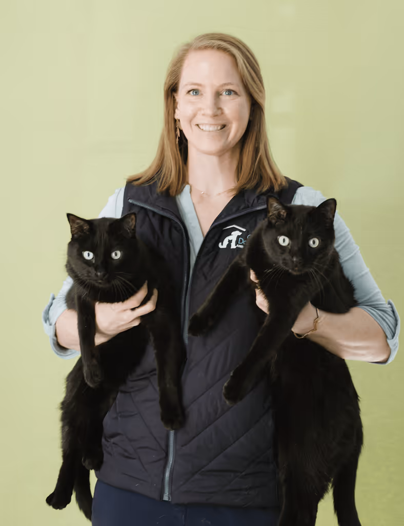 staff profile