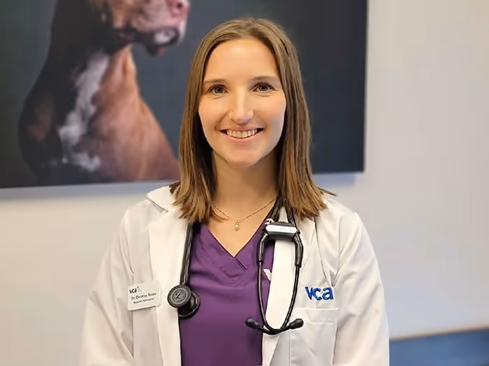 staff profile