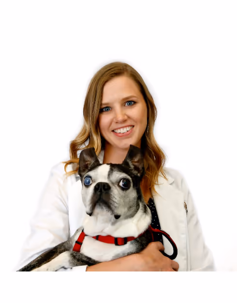 staff profile