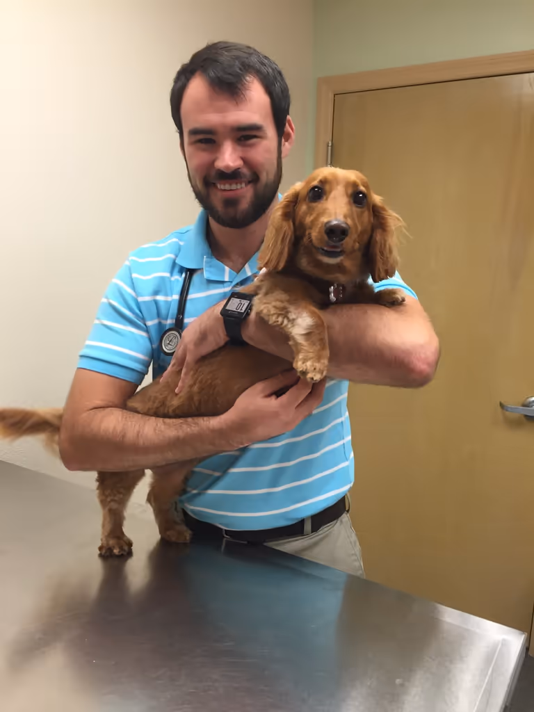 staff profile
