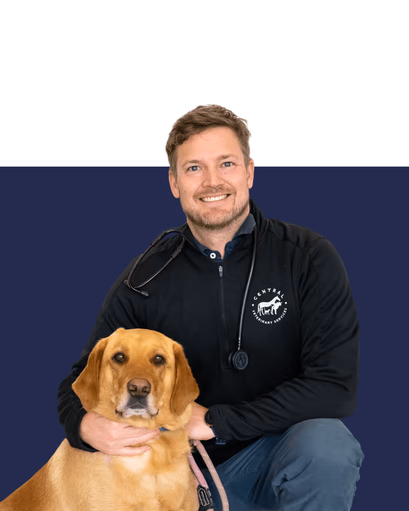 staff profile