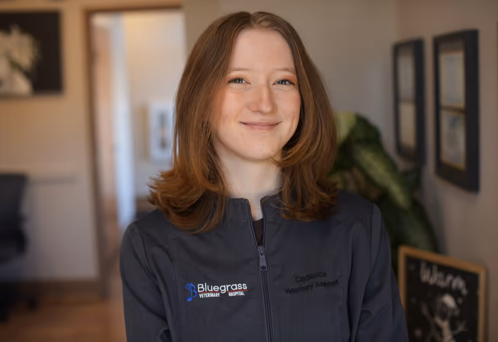 staff profile