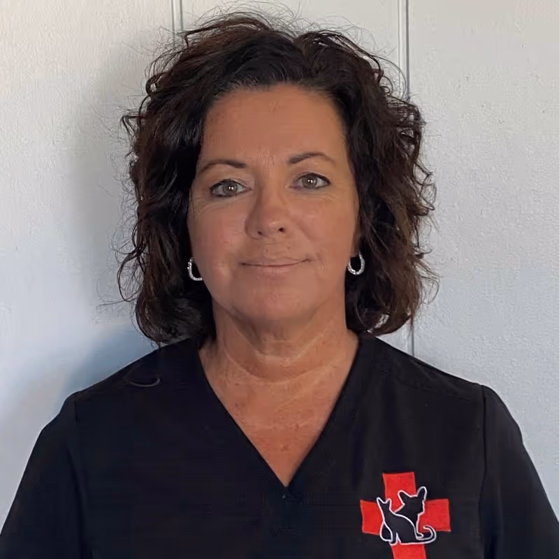 staff profile