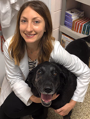 staff profile