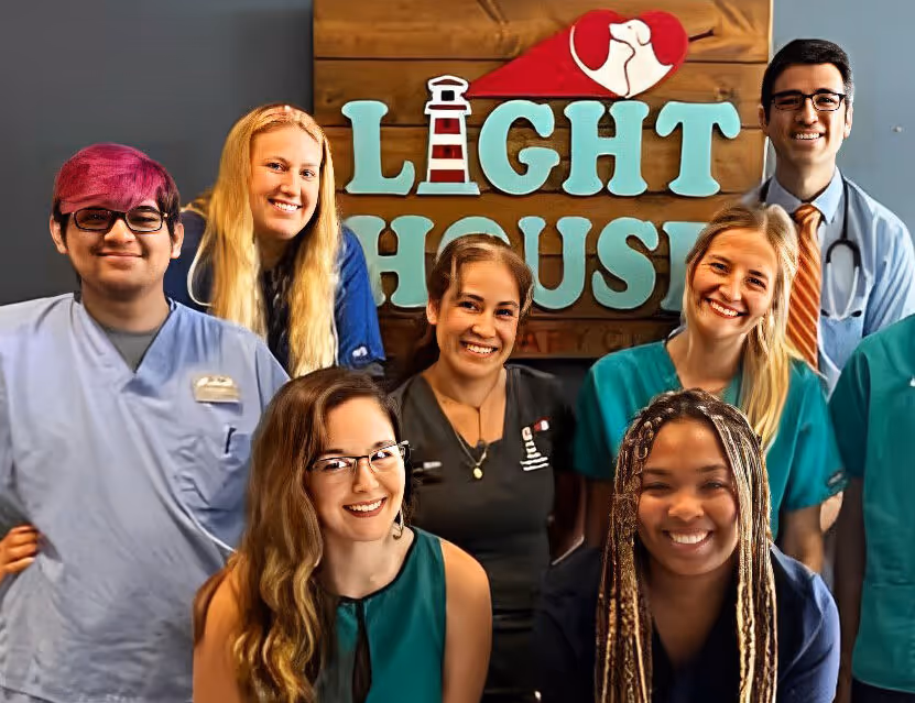 staff profile