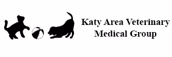 staff profile