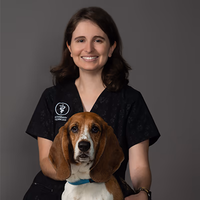 staff profile