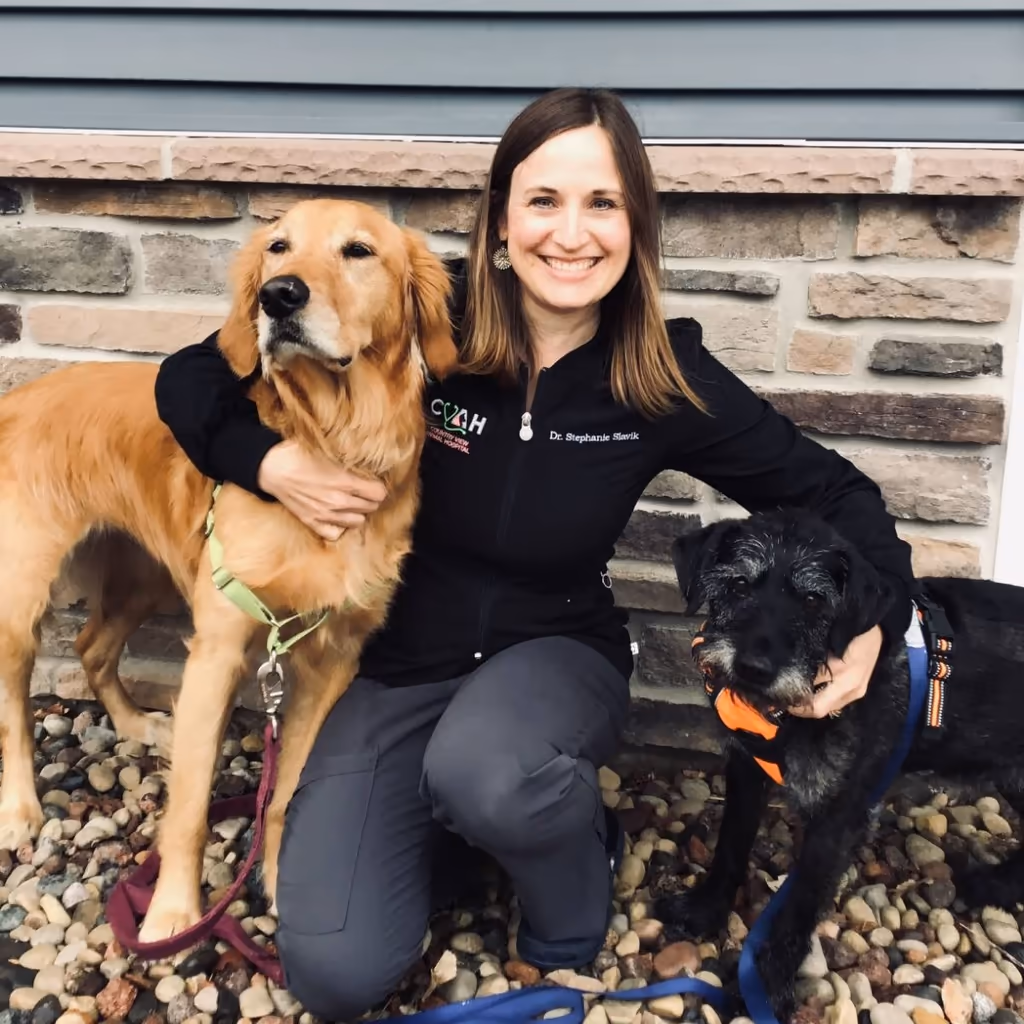 staff profile