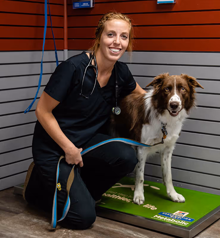 staff profile