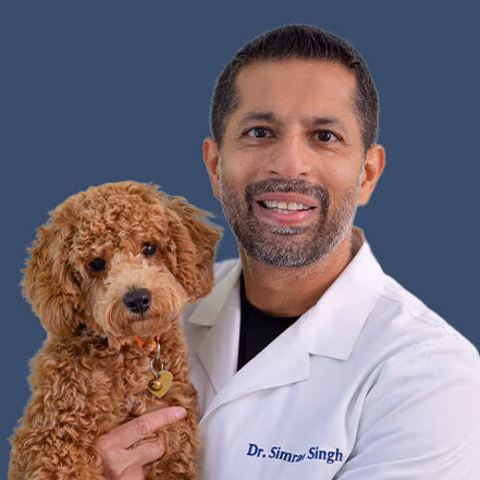 staff profile